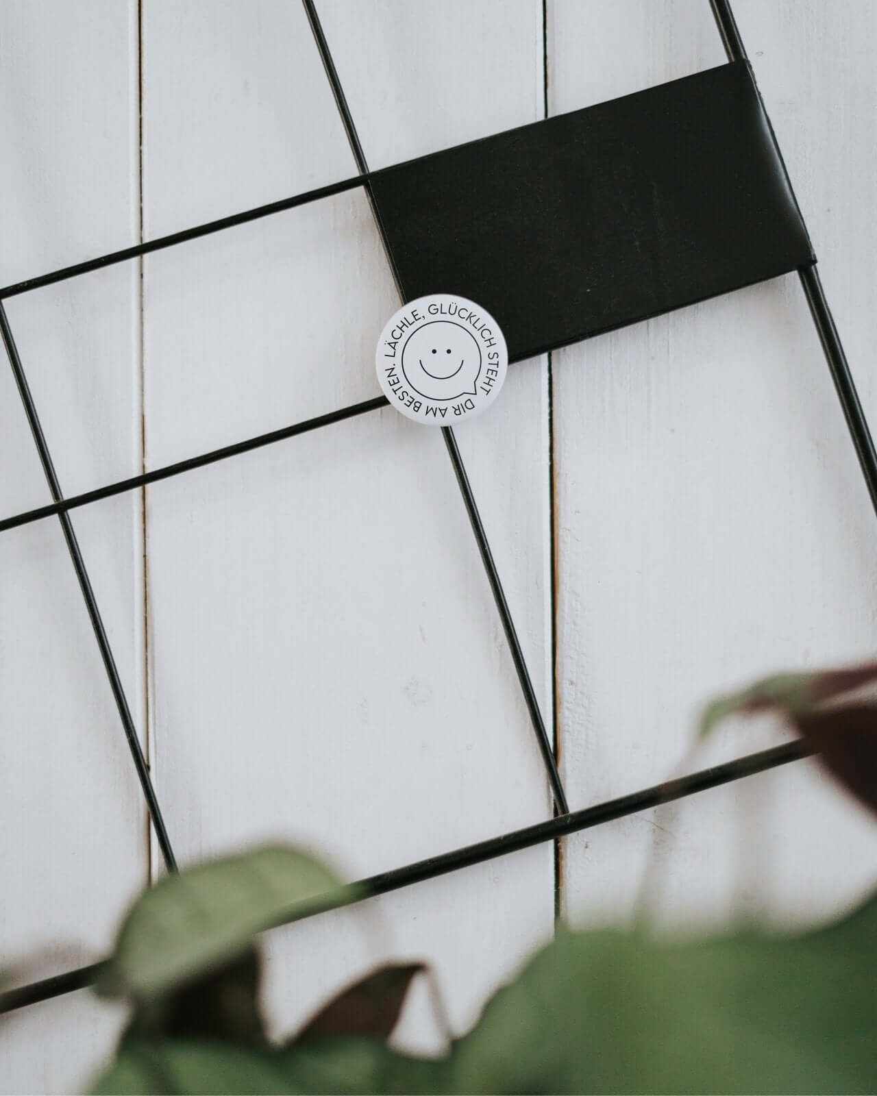 Lächle · Magnet · klein