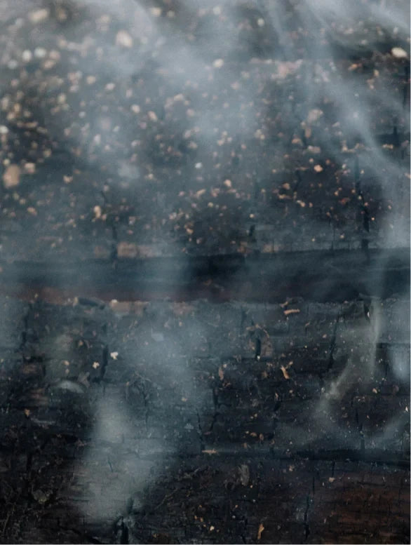 Softening Beard Oil for Men