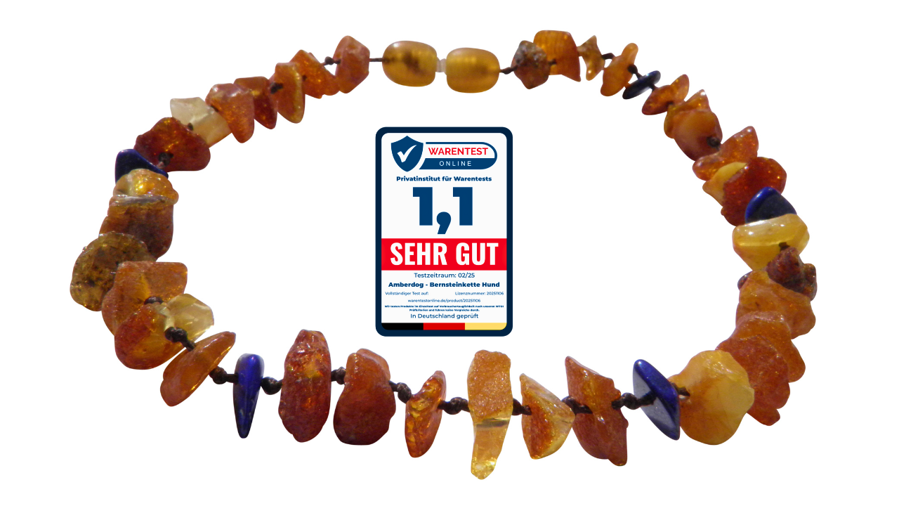 Hunde Bernsteinkette Lapislazuli