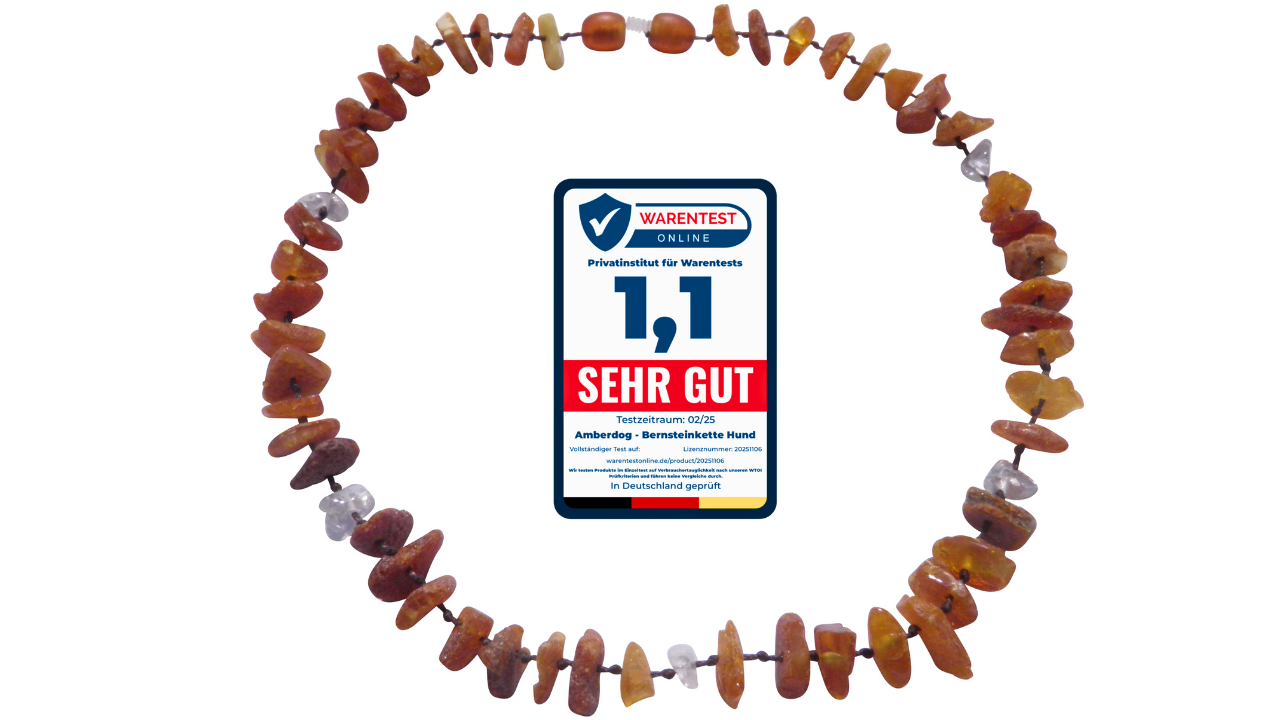 Hunde Bernsteinkette Bergkristall