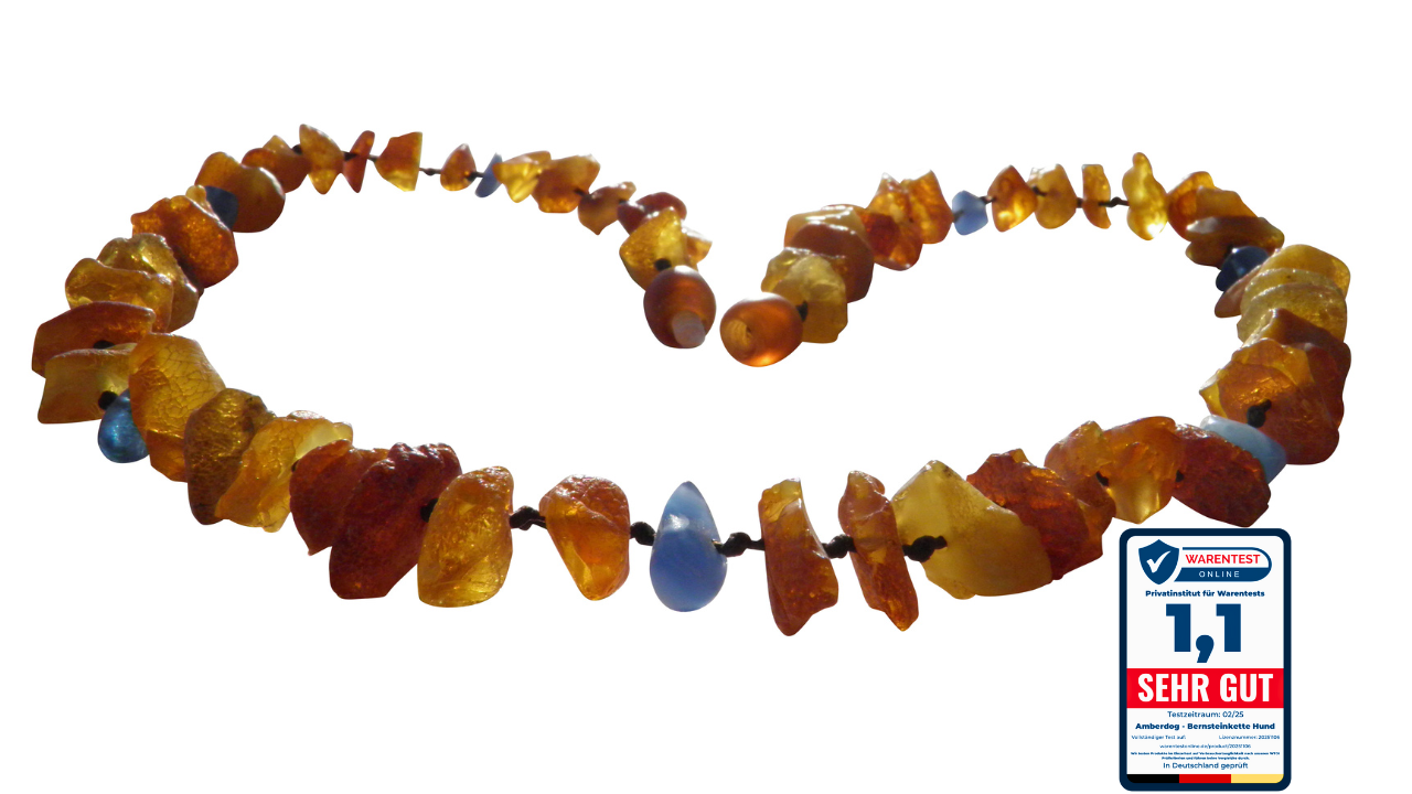 Hunde Bernsteinkette Blauquarz