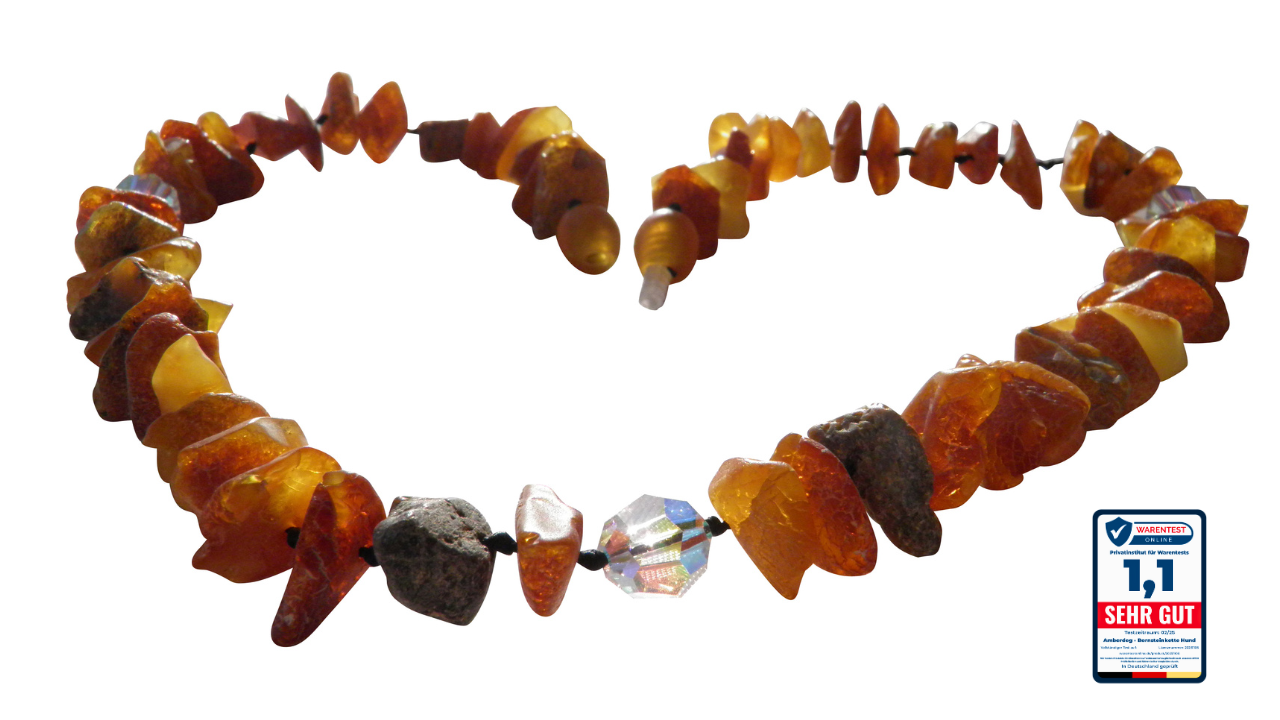 Hunde Bernsteinkette Swari