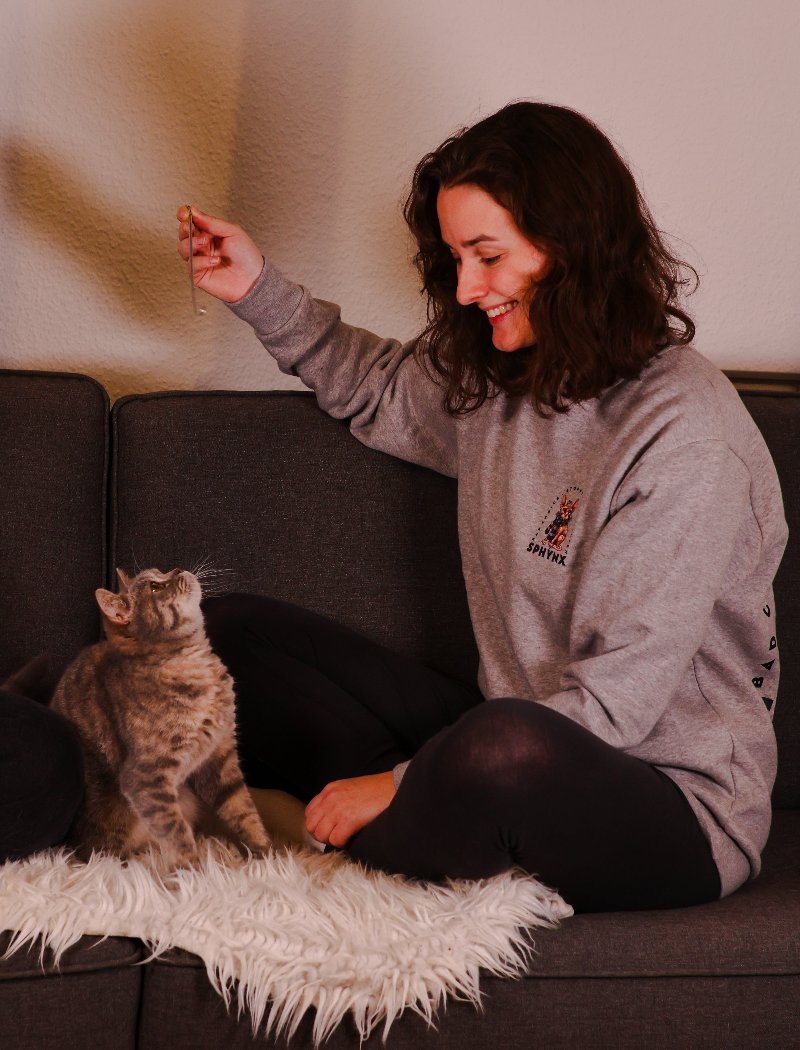 "Bad Choice" Sphynx Unisex Sweater