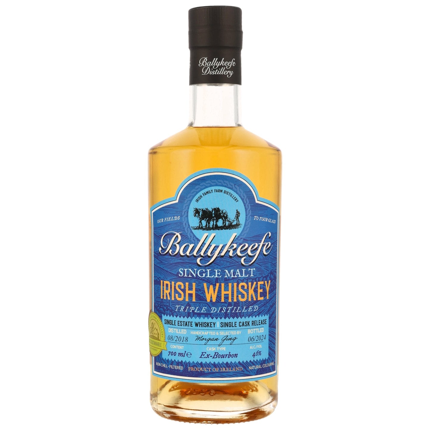 Ballykeefe 6 2018/2024