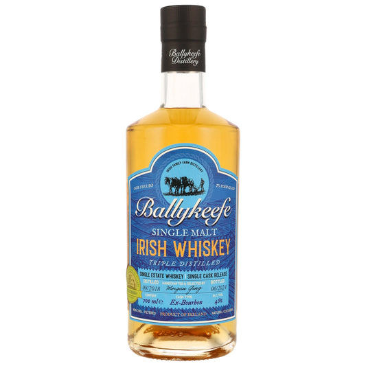 Ballykeefe 6 2018/2024