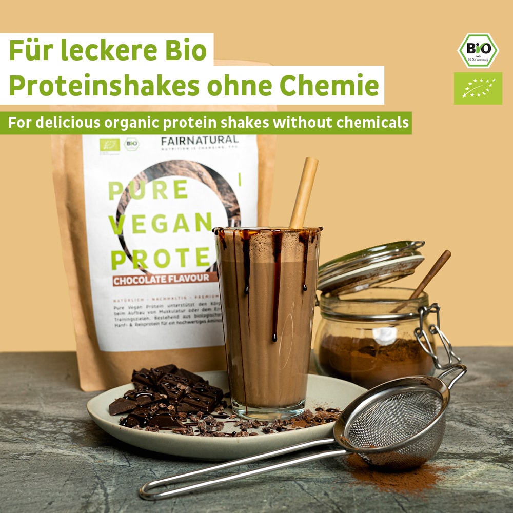 Bio Veganes Proteinpulver Schoko ohne Soja
