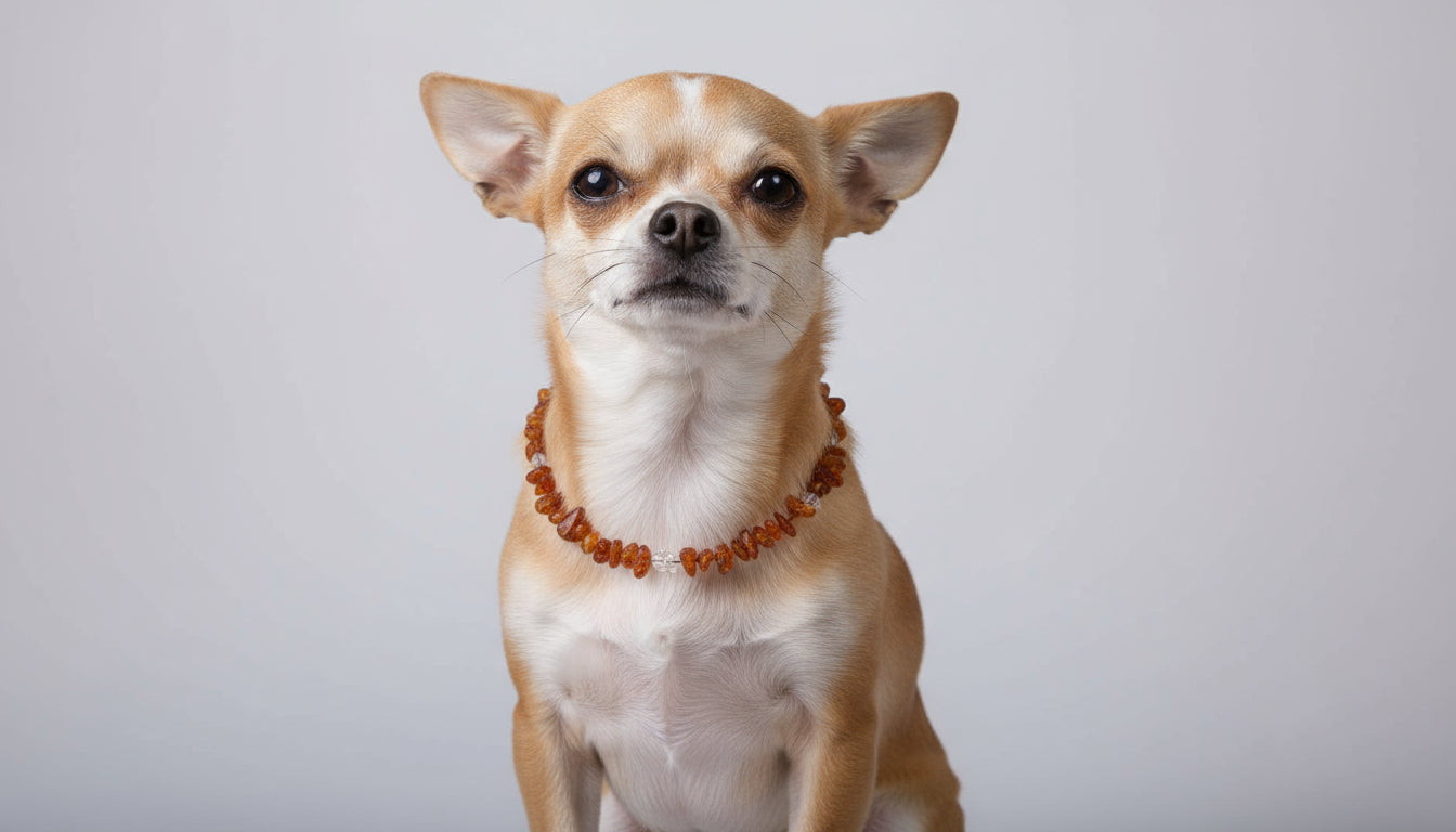 Hunde Bernsteinkette Bergkristall