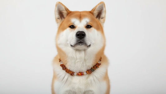 Hunde Bernsteinkette mit Achat und  Bergkristall Länge 46cm