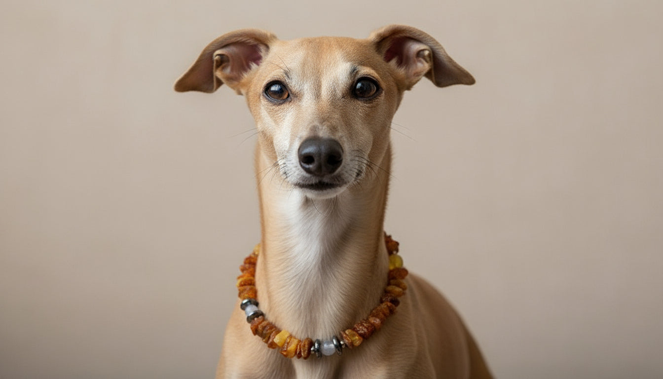 Hunde Bernsteinkette mit Achat und Hämatit Länge 22cm