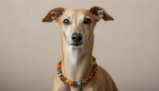 Hunde Bernsteinkette mit Achat und Hämatit Länge 22cm