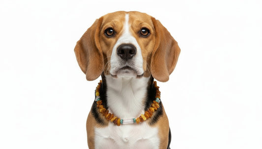 Hunde Bernsteinkette mit Bergkristall und Howlith Länge 41cm