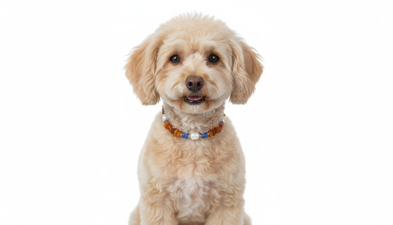 Bernsteinkette Hund mit Blauquarz und Muscheln Länge 22cm