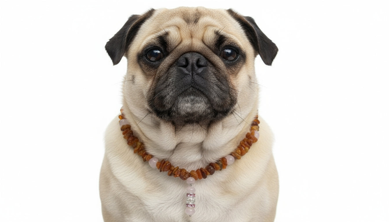 Bernsteinkette für den Hund mit Rosenquarz Länge 47cm