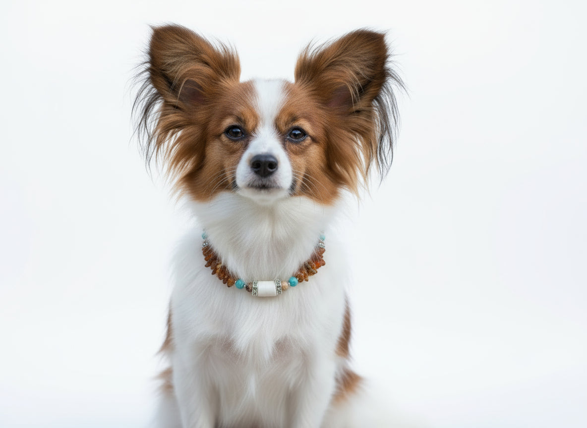 Hunde Bernsteinkette EM-Kera Pipe Howlith mit Landschaftsjaspis Länge 24cm