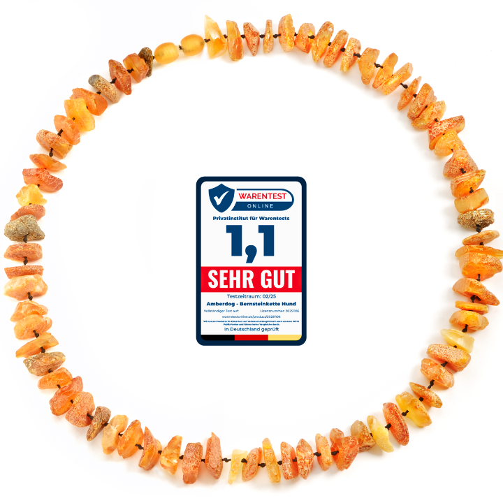 Hunde Bernsteinkette Sonne