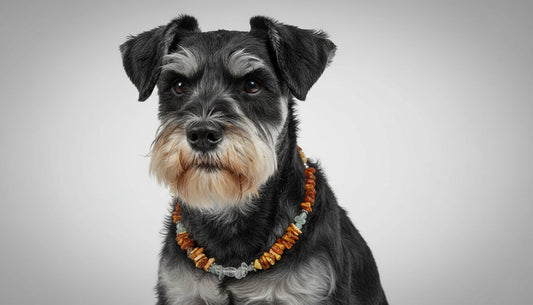 Hunde Bernsteinkette mit Jade und Bergkristall Länge 34cm