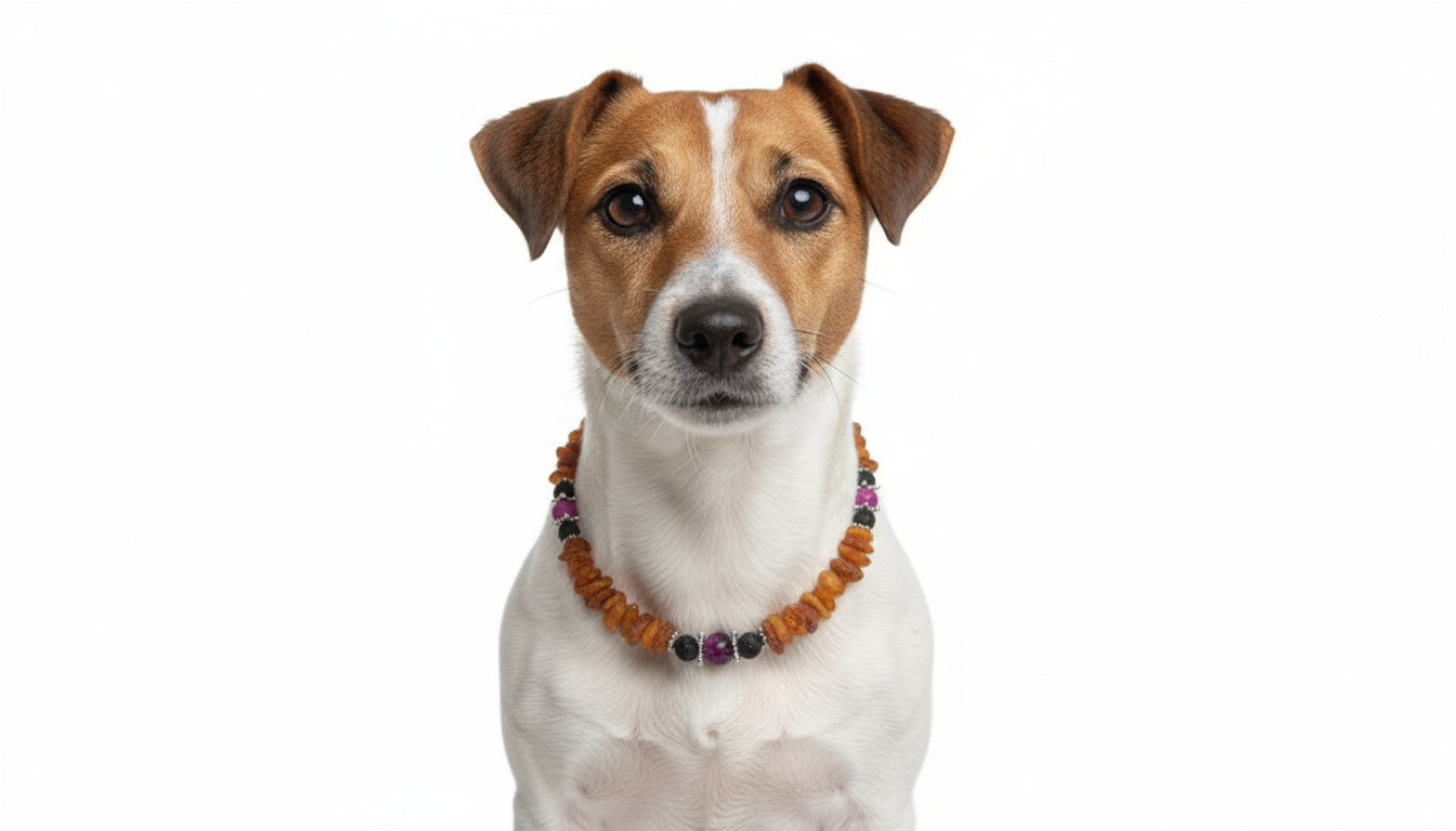 Hunde Bernsteinkette mit Lava und Sugilith Länge 33cm