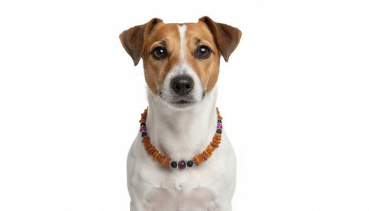 Hunde Bernsteinkette mit Lava und Sugilith Länge 33cm