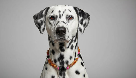 Bernsteinkette für den Hund mit Onyx und Achat Länge 42 cm