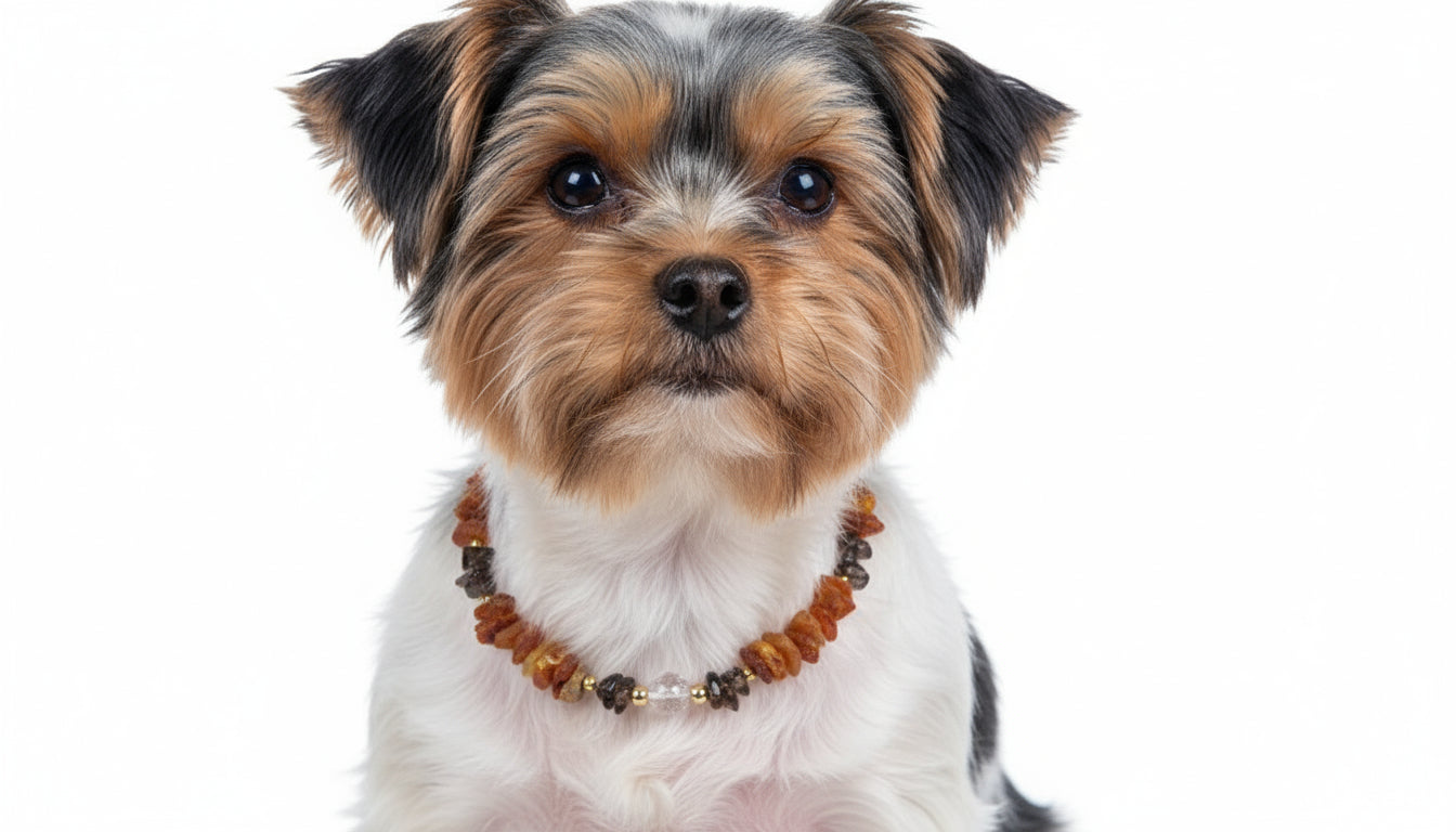 Bernsteinkette Hund mit Rauchquarz Länge 30cm