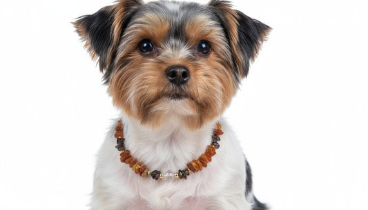 Bernsteinkette Hund mit Rauchquarz Länge 30cm