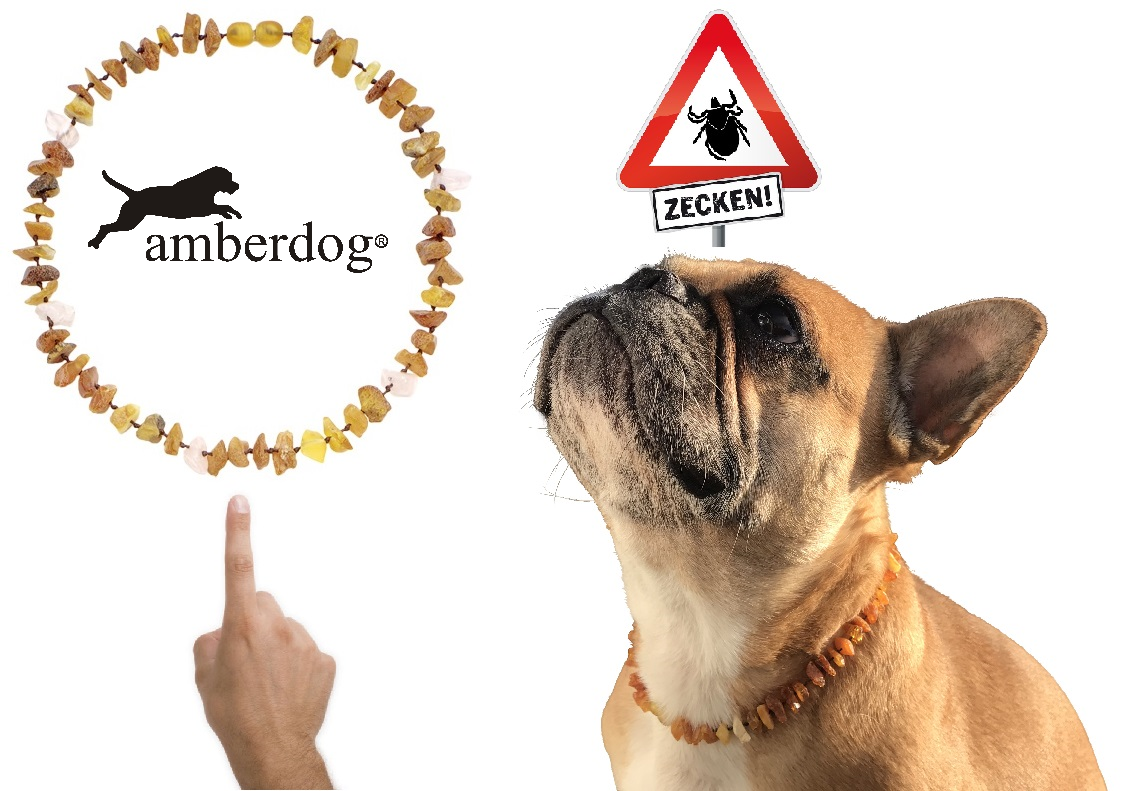 Hunde Bernsteinkette Rosenquarz