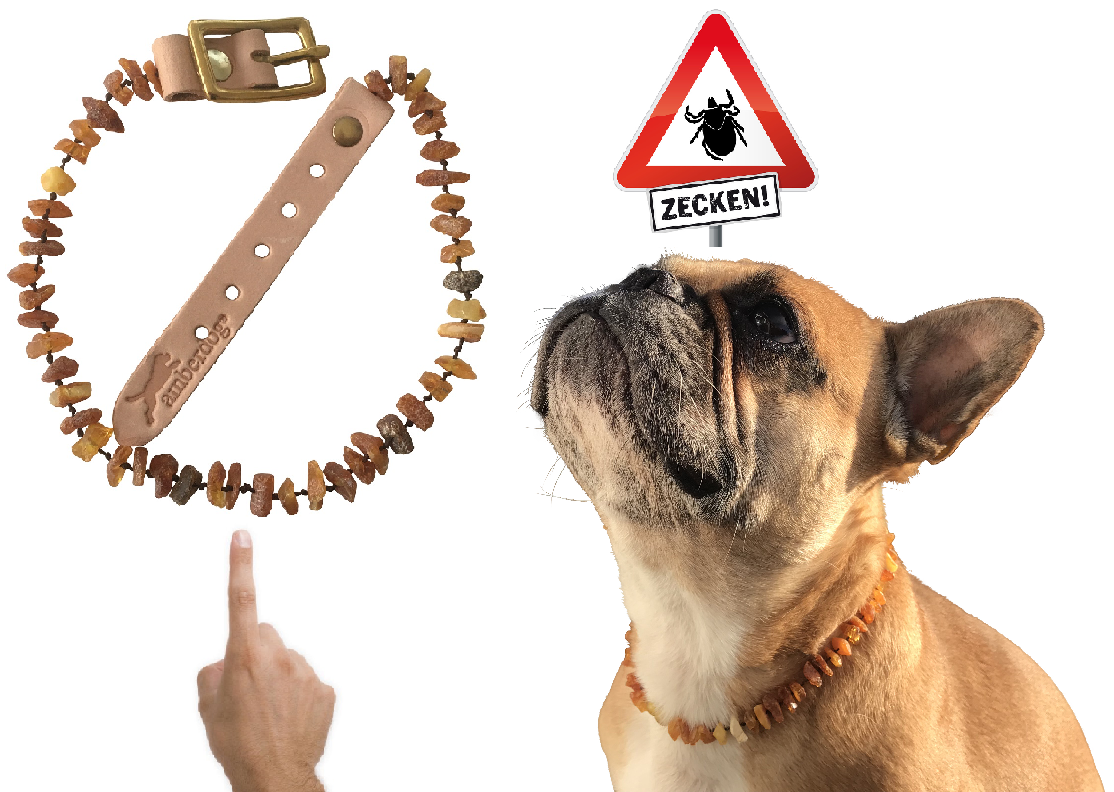 Hunde Bernsteinkette SuperFlex