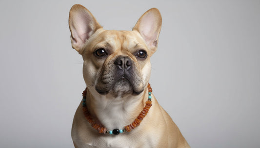 Bernsteinkette für den Hund mit Onyx und Howlith 39cm