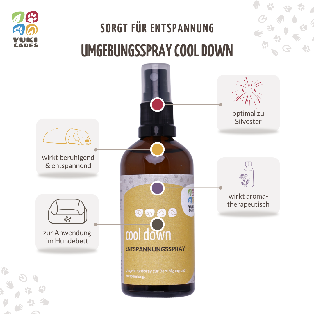 Entspannungsspray Cool down 100ml