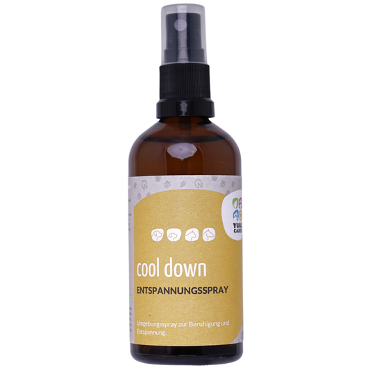 Entspannungsspray Cool down 100ml