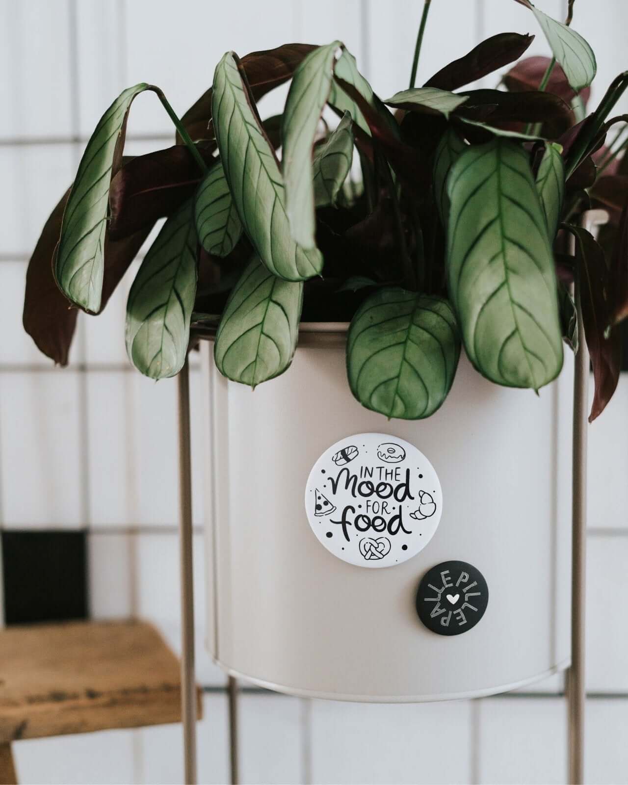 Mood for food · Magnet · groß