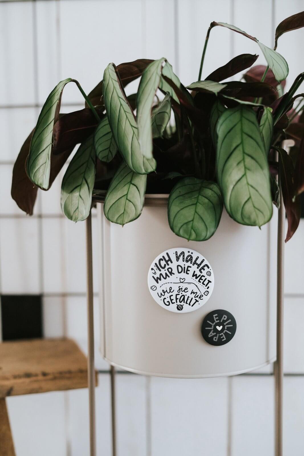 Ich nähe mir die Welt · Magnet · groß