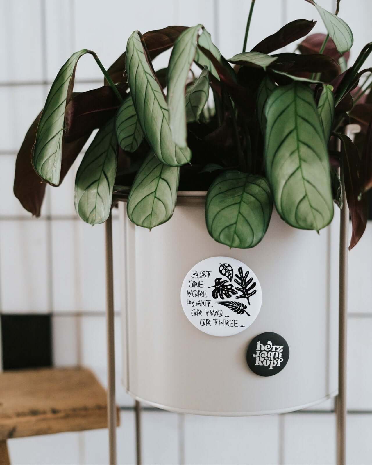 Just one more plant · Magnet · groß