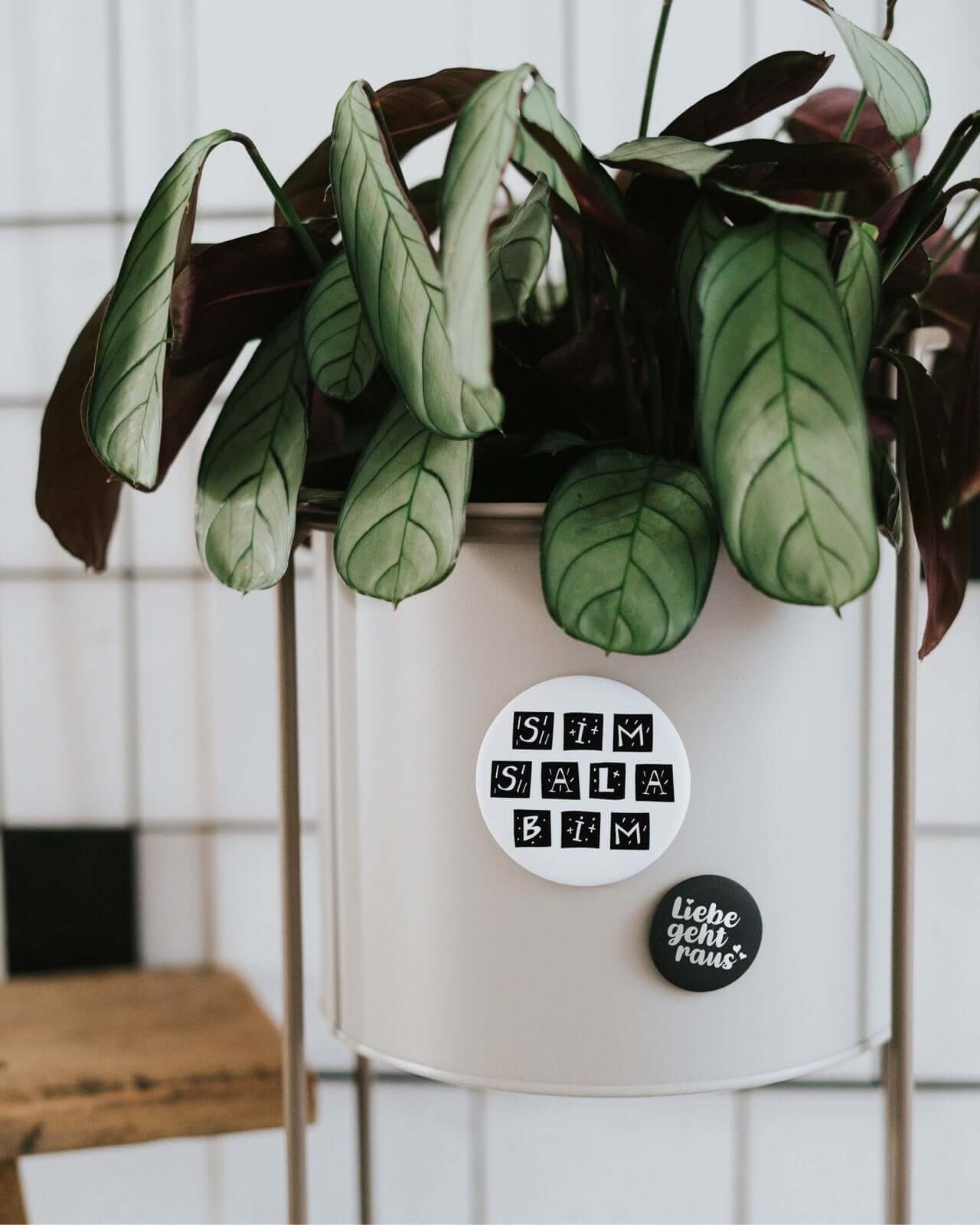 Simsalabim · Magnet · groß