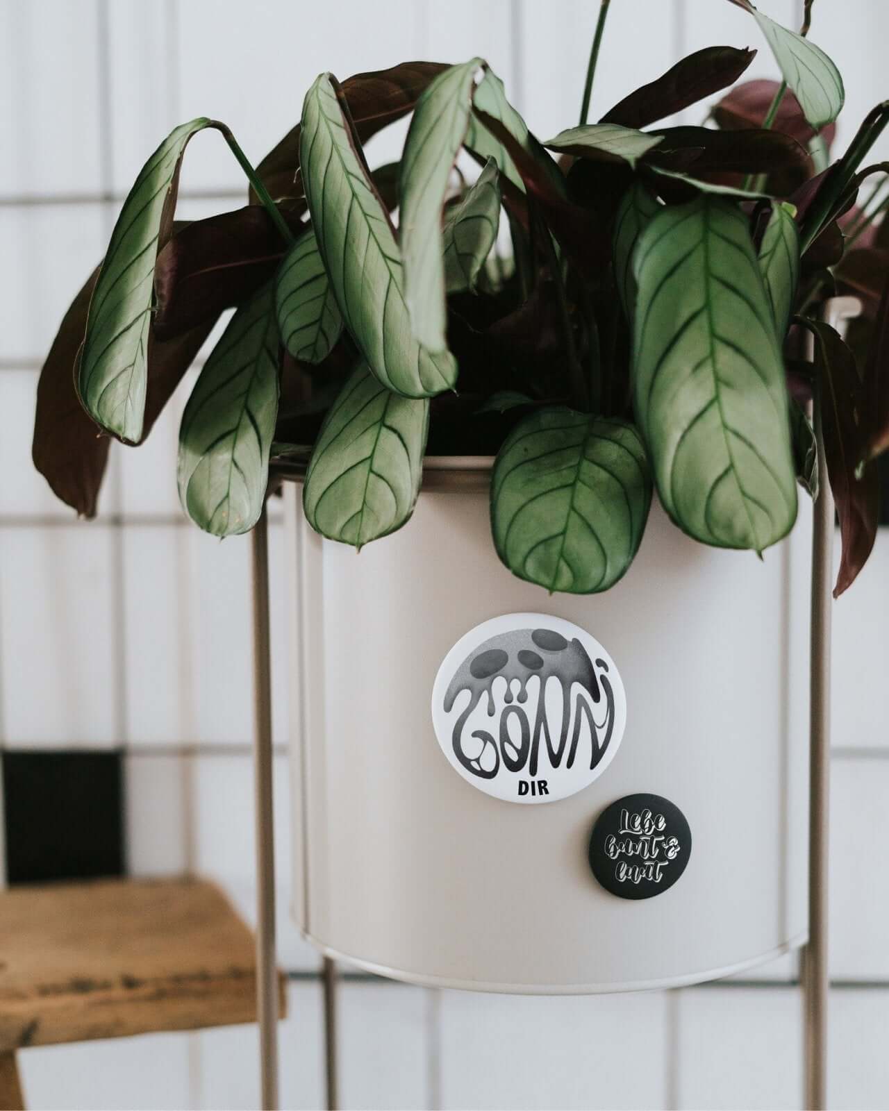 Gönn dir · Magnet · groß