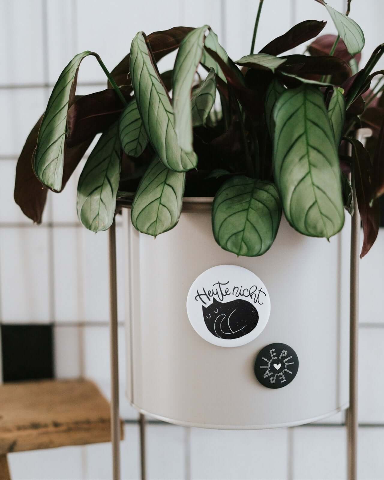 Heute nicht · Magnet · groß