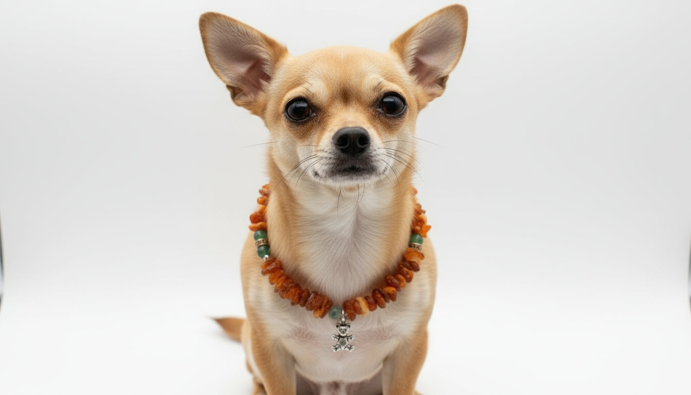 Amberdog® Bernsteinkette mit Jade – Handgefertigtes Unikat für Hunde (25 cm)