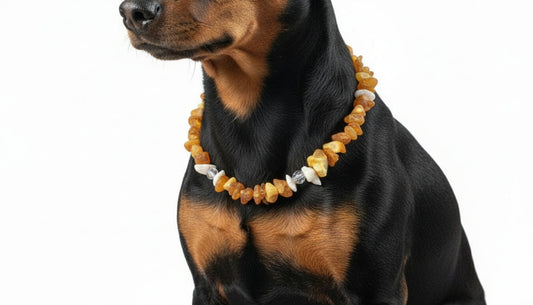 Bernsteinkette für den Hund mit Swari und Muscheln Länge 23 cm