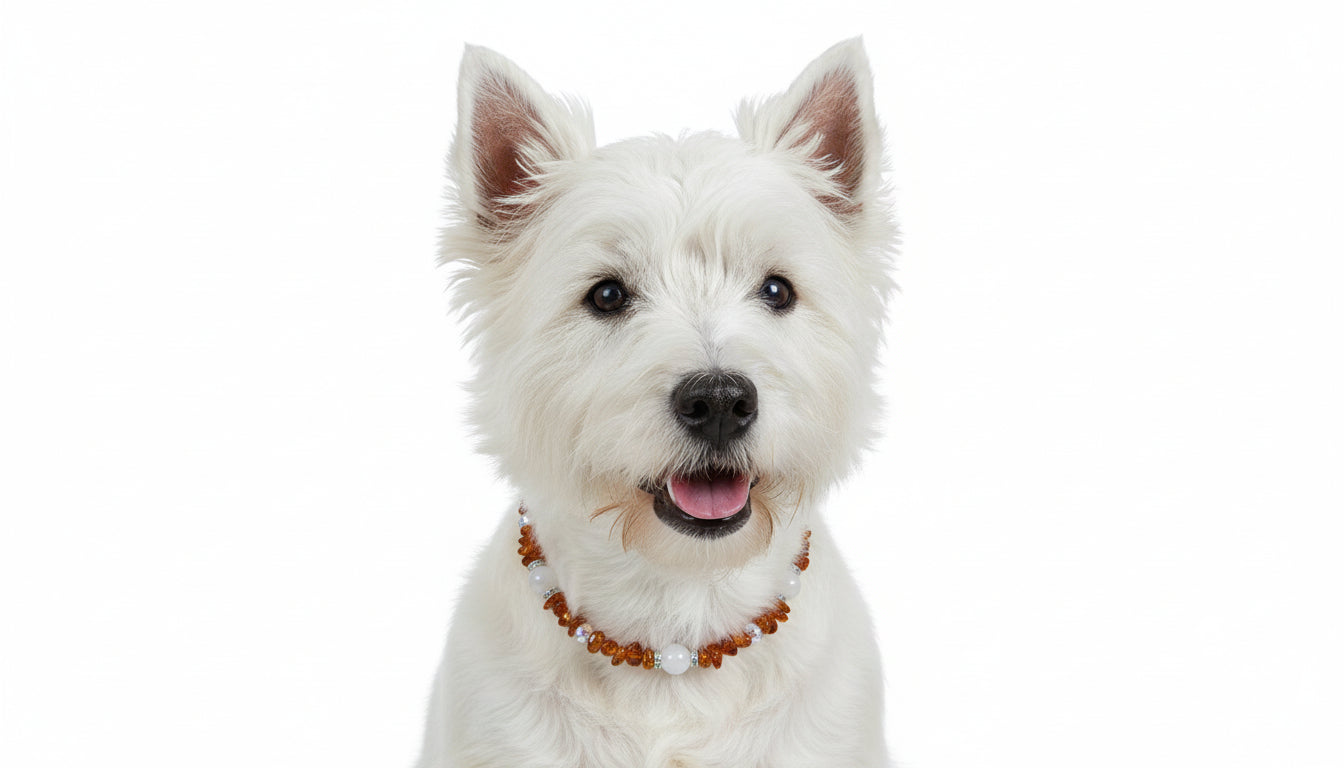 Bernsteinkette Hund Rosenquarz & Swari Länge 37cm