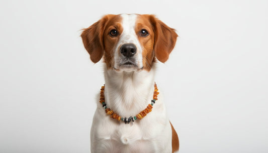 Hunde Bernsteinkette mit Edelsteinen Länge 40cm