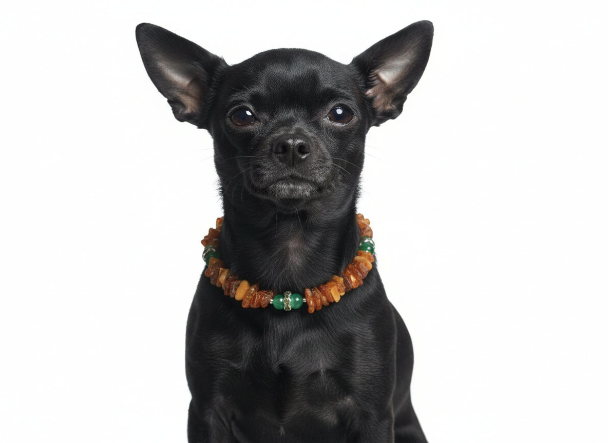 amberdog Hunde Bernsteinkette mit Jade Länge 23cm