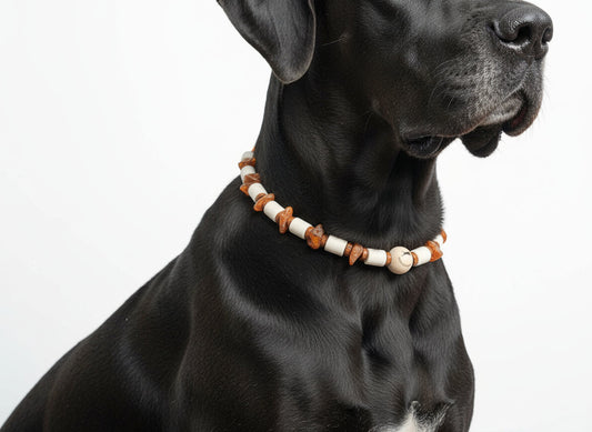 EM Keramik Kette Amberwood für Hunde