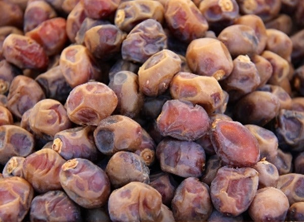 100g Bio Dattel Barhi 'Honigball' mit Stein