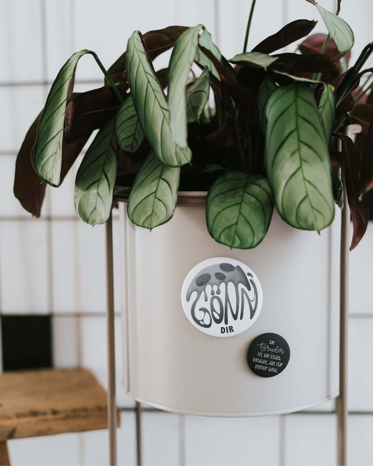 Ein Bruder · Magnet · klein