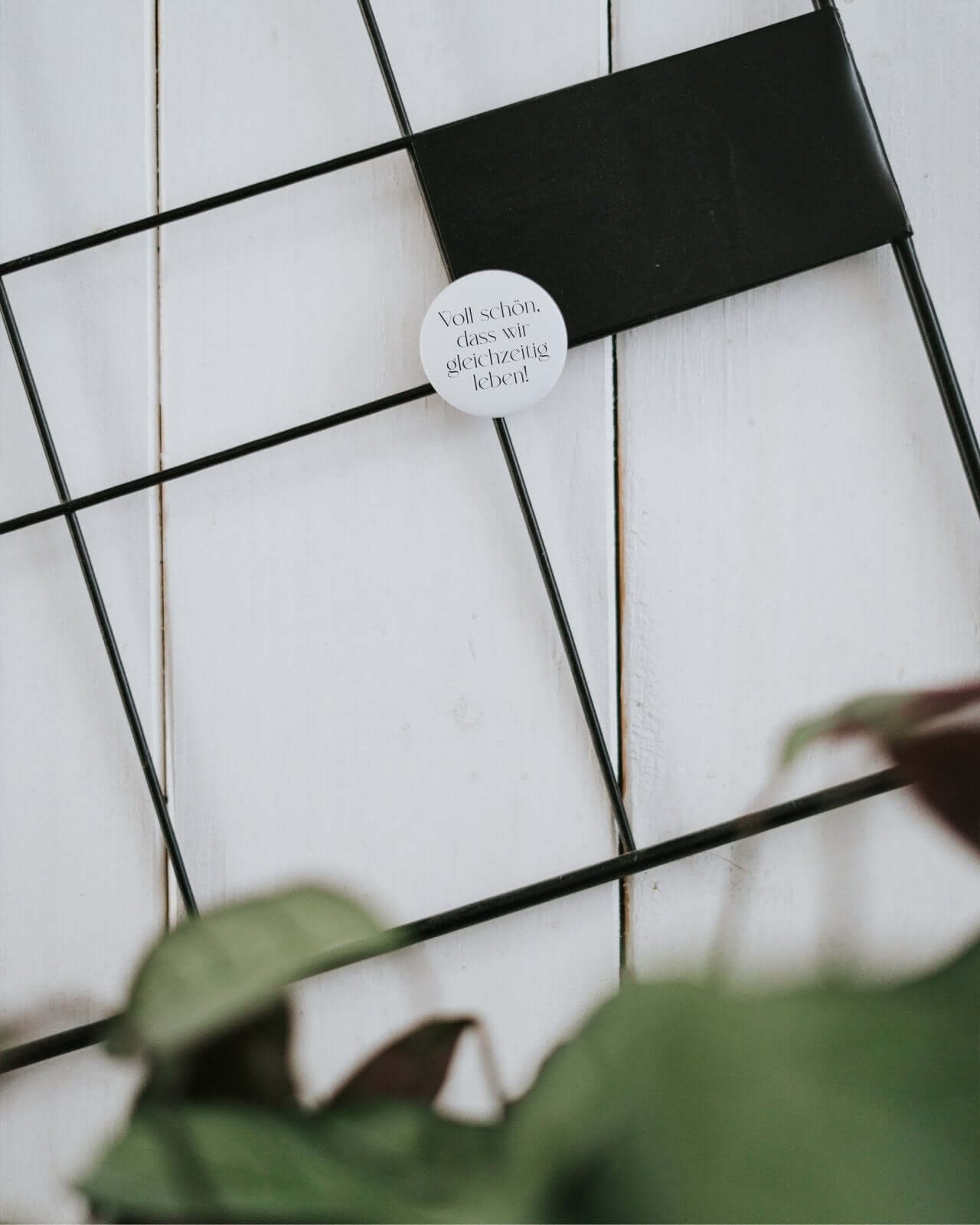 Voll schön · Magnet · klein