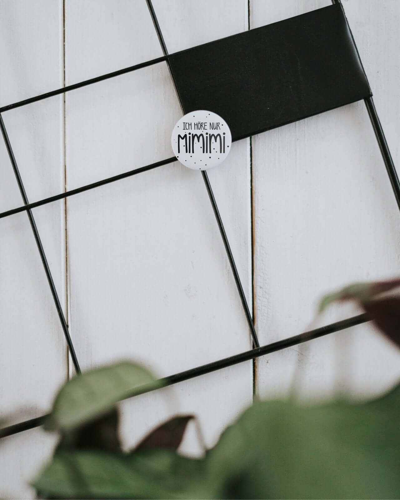 Mimimi · Magnet · klein