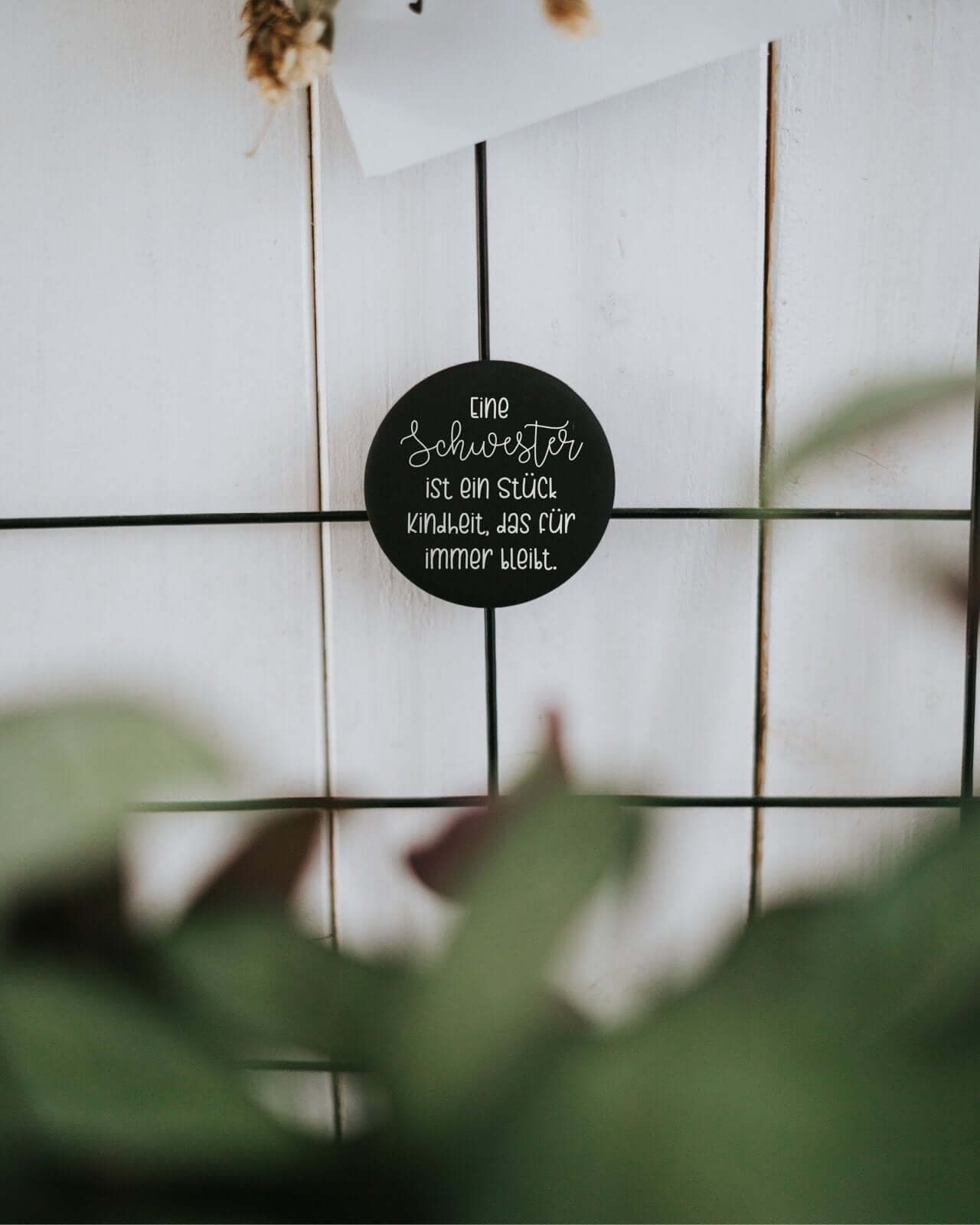 Eine Schwester · Magnet · klein