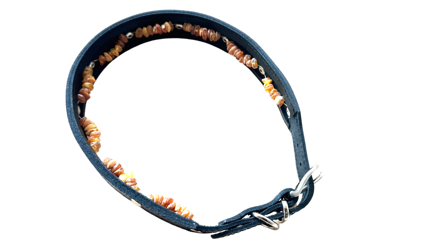 Hunde Lederhalsband mit integrierter Bernsteinkette