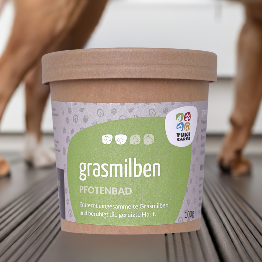 Pfotenbad Grasmilben